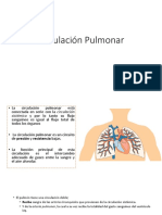 Circulación Pulmonar