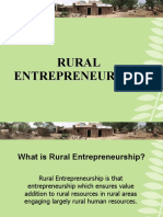 Rural Entrepreneurship