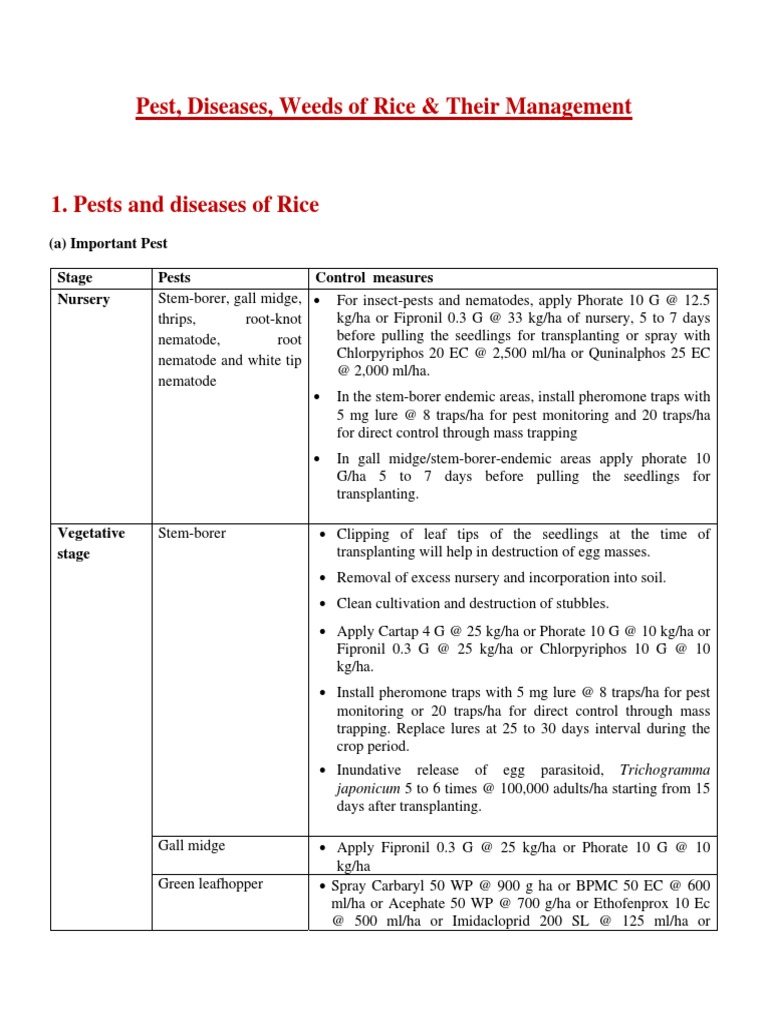 Rice Pests and Diseases Management Guide | PDF | Rice | Plant Nursery