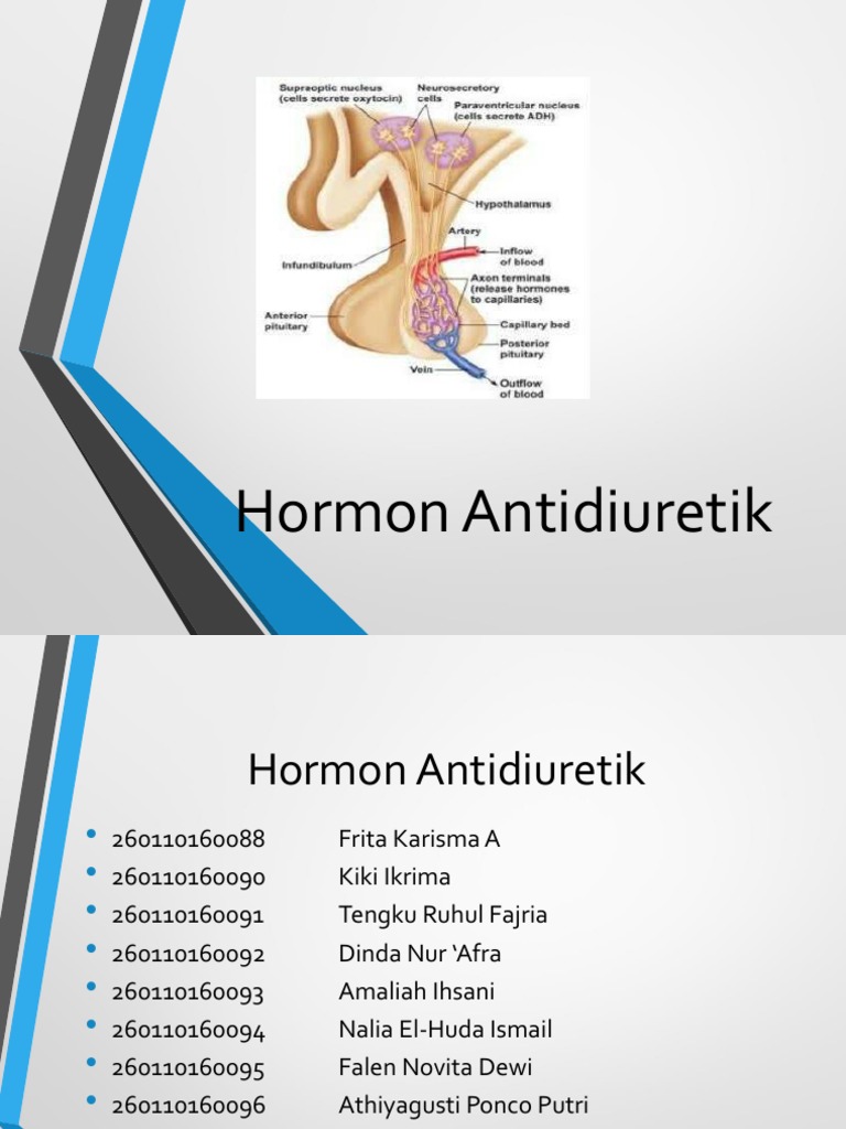 Kelompok 5 Kelas B 2016 Pdf