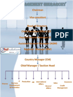 Top Management Hierarchy