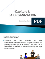 Capítulo I La Organizacion