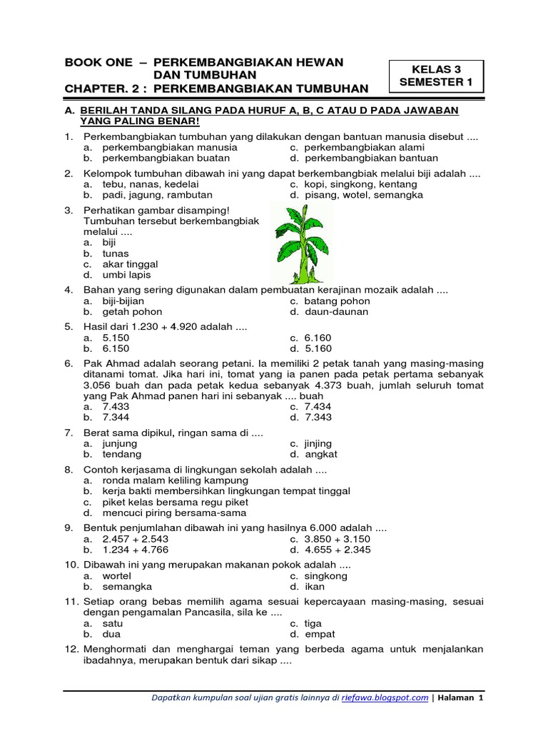 Soal Kelas 3 Tema 1 Subtema 2