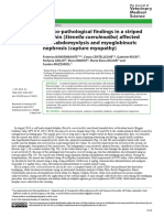 Clinico-pathological Findings in a Striped Dolphin