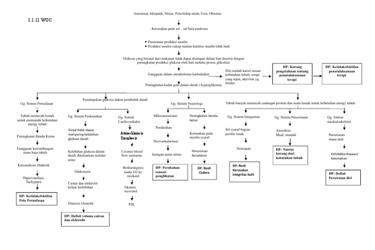 Woc DM Ugd | PDF