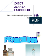 Sofinceanu (Popa)Laura.ppt