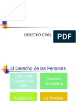 Derecho Civil Temas Principales