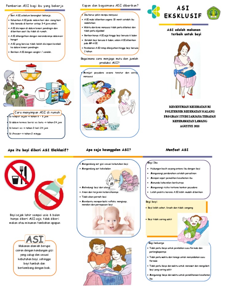 Leaflet ASI Eksklusif | PDF