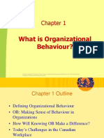 Chapter 1-What Is Organizational Behaviour