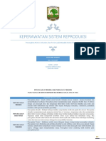 Pencegahan Primer Sekunder Tersier Masalah Sistem Reproduksi