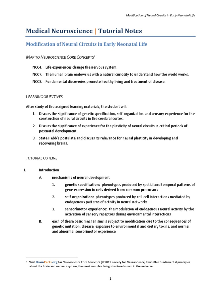Medical Neuroscience Tutorial Notes: Modification of Neural Circuits in ...