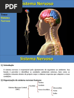 Aula-Sistema-Nervoso.ppt