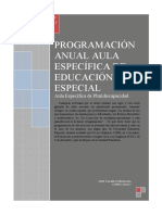 PROGRAMACIÓN AEE 2016- 17