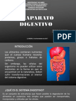 El Aparato digestivo