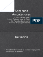 Seminario amputaciones.pptx