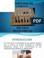 Pruebas Bioquimicas