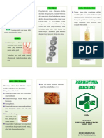 Leaflet Dermatitis