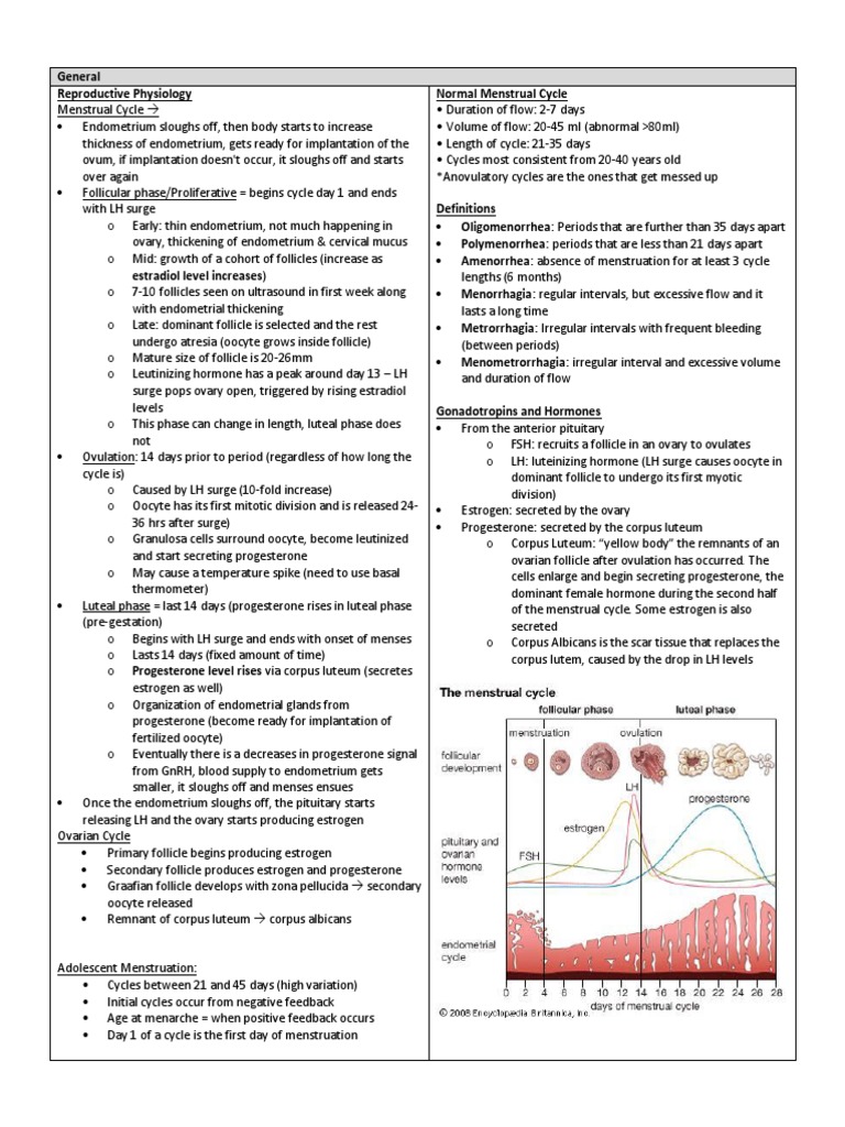 Menstrual Cycle Overview and Disorders | PDF | Luteinizing Hormone ...