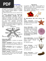 bio.resumo.equinordemos.pdf
