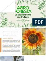 Agroforesta.pdf