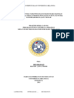 PKL PK BP 205-16 Era o PDF