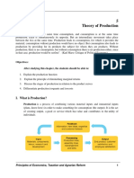 Theory of Production