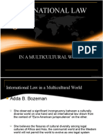 International Law - Emman's Report
