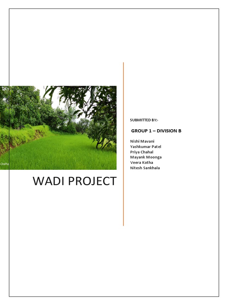 Wadi Project Report Pdf