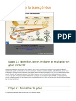 Les Etapes de La Transgenese