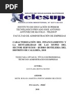 Caracterización Del Financiamiento de La Mypes Del Sector Sercios-Rubro Hoteleria Del Distrito de Calleria, 2018