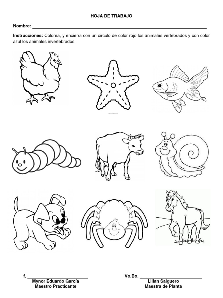 Animales Vertebrados E Invertebrados Para Colorear E Imprimir - páginas