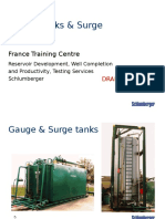 01 - Gauge & Surge Tanks