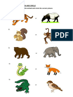 Worksheets Animals