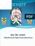 Mushroom Spawn Production