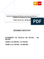 RESUMEN-EJECUTIVO-EVI-TI-TII_140116.doc