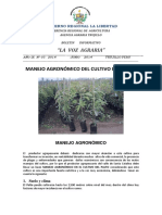 VOZAGRARIA N_05_2014_MANEJO AGRONÓMICO DE PALTO.pdf