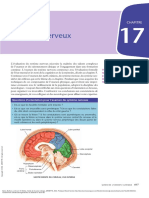 Guide de L'examen Clinique - (CHAPITRE 17 Système Nerveux)