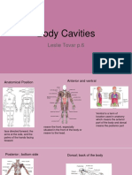 Body Cavities