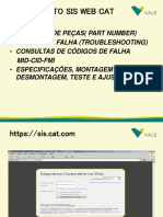 SIS WEB CAT.ppt