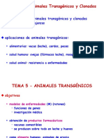 Animales Transgénicos - 2015