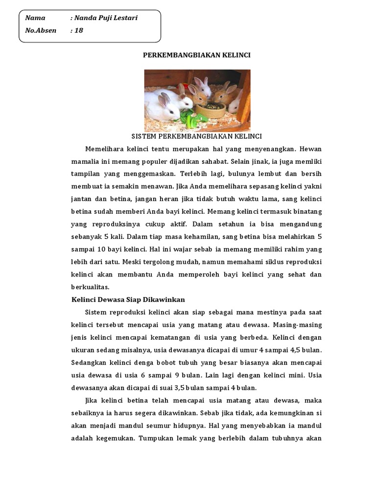 PERKEMBANGBIAKAN KELINCI