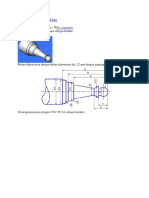 Program Pion tua2.docx