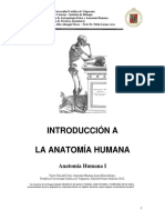 INTRODUCCION LOCOMOTOR kine 2012.pdf