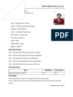 Curriculum Vitae Fake