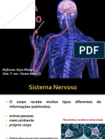 Aula2 - Sistema Nervoso