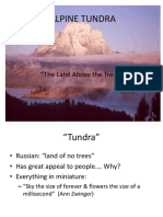 1-ALPINE TUNDRA.ppt