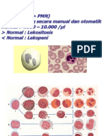 Sel Berinti Darah Tepi ( PMN) Dapat Dihitung Secara Manual Dan Otomatik Normal: 4.000 - 10.000 / L Normal: Lekositosis Normal: Lekopeni