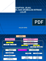 Kuliah Adaptasi, Jejas, Kematian Sel Dan Akumulasi Intrasel