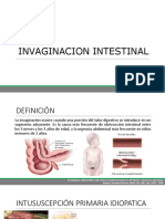 Invaginación Intestinal RyD 1