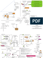 Biochemistry Final Review Outlines